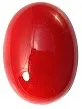 Red Coral or Laal Moonga